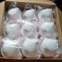 Mouth Masks,CE FDA 10pcs Cup Type N95/FFP2 Breathable Anti Dust Fog Face Mouth Masks White, Kill Coronavirus, instock, ups/fedex/dhl fast delivery Mouth Masks,CE FDA 10pcs Cup Type N95/FFP2 Breathable Anti Dust Fog Face Mouth Masks White, Kill Coronavirus, instock, ups/fedex/dhl fast delivery