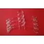 Clear Junior Top, Small 11.5 inch Space Saving Teen Notches Hook (Set of 100) Plastic Kids Hanger Clear Junior Top, Small 11.5 inch Space Saving Teen Notches Hook (Set of 100) Plastic Kids Hanger
