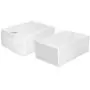 AUNMAS 2 Pcs Clear Plastic Shoe Storage Tidy Organizer Boxes Colorful Liter Stacking Drawer Transparent Storage Shoes Box(3#)