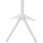 EBTOOLS Standing Coat Rack, Clothes Scarfs Hanging Stand, Pine Rack Disassembled Hanger for Home Use (White)