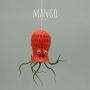 Small Hanging Octopus Air Plant Hanger