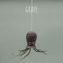 Small Hanging Octopus Air Plant Hanger
