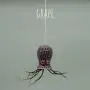Small Hanging Octopus Air Plant Hanger