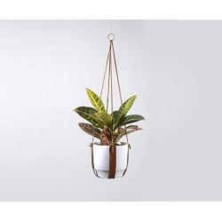 Plant Hugger Leather Plant Hanger with Brass Accents.