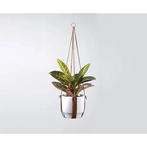 Plant Hugger Leather Plant Hanger with Brass Accents. Plant Hugger Leather Plant Hanger with Brass Accents.
