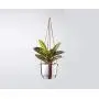 Plant Hugger Leather Plant Hanger with Brass Accents. Plant Hugger Leather Plant Hanger with Brass Accents.