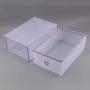 5 Pcs Clear Plastic Shoe Storage Boxes, Foldable Shoe Containers Double Plastic Purple DIY Shoe Drawers Home Storage