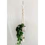Macrame Plant Hanger / Hanging Plant Holder / Double Twist / Plant Lover Gift / Housewarming Gift / Natural White / Dorm Decor