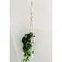 Macrame Plant Hanger / Hanging Plant Holder / Double Twist / Plant Lover Gift / Housewarming Gift / Natural White / Dorm Decor Macrame Plant Hanger / Hanging Plant Holder / Double Twist / Plant Lover Gift / Housewarming Gift / Natural White / Dorm Decor