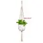 ? Plant Hangers Indoor Wall Hanging Planter Basket Flower Pot Holder Boho Home Decor ? Plant Hangers Indoor Wall Hanging Planter Basket Flower Pot Holder Boho Home Decor