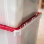 IRIS USA, Inc. WL-60 Holiday Ornament Storage Box, 2 Pack, Pearl/Red