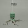 Small Hanging Octopus Air Plant Hanger