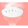 Nonebranded Mini Iron Handheld Garment Steamer Mini Portable Hanging Machine Brush Iron Machine Portable Steam Iron Fabric Steamer Ironing Machine Nonebranded Mini Iron Handheld Garment Steamer Mini Portable Hanging Machine Brush Iron Machine Portable Steam Iron Fabric Steamer Ironing Machine