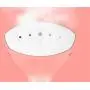 Nonebranded Mini Iron Handheld Garment Steamer Mini Portable Hanging Machine Brush Iron Machine Portable Steam Iron Fabric Steamer Ironing Machine