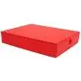 VPACK Files Storage Organizer Boxes, Flip Up Design Easy Clean Filing & Storage Office File Holder Boxes with Lip for Letters, Files, Documents, Papers (Red) VPACK Files Storage Organizer Boxes, Flip Up Design Easy Clean Filing & Storage Office File Holder Boxes with Lip for Letters, Files, Documents, Papers (Red)