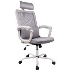 Ergonomic Computer Chair, High Back Mesh Office Chair Adjustable Headrest Desk Task Chair with Cloth Hanger Gray