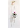 Hanging Plant Bracket for Macrame Plant Hangers, Wood Wall Hook for Indoor Hanging Planters