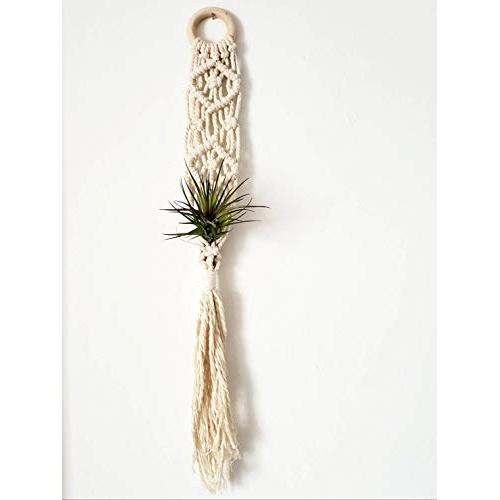 Macrame Air Plant Hanger | Macrame Hanger | Air Plant Hanger