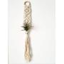 Macrame Air Plant Hanger | Macrame Hanger | Air Plant Hanger