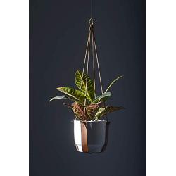 Plant Hugger Leather Plant Hanger with Brass Accents.