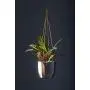 Plant Hugger Leather Plant Hanger with Brass Accents. Plant Hugger Leather Plant Hanger with Brass Accents.
