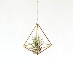 Hanging air plant holder, mobile Himmeli, gold plant hanger, air plant geometric planter, airplant display, home decor gift, octahedron 01