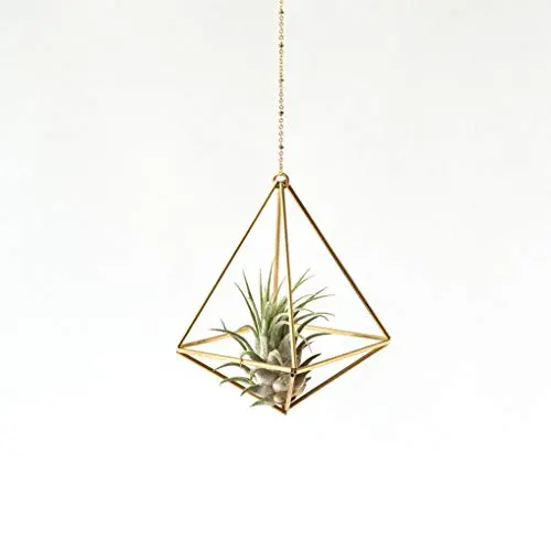Hanging air plant holder, mobile Himmeli, gold plant hanger, air plant geometric planter, airplant display, home decor gift, octahedron 01 Hanging air plant holder, mobile Himmeli, gold plant hanger, air plant geometric planter, airplant display, home decor gift, octahedron 01