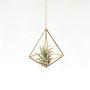 Hanging air plant holder, mobile Himmeli, gold plant hanger, air plant geometric planter, airplant display, home decor gift, octahedron 01