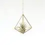 Hanging air plant holder, mobile Himmeli, gold plant hanger, air plant geometric planter, airplant display, home decor gift, octahedron 01 Hanging air plant holder, mobile Himmeli, gold plant hanger, air plant geometric planter, airplant display, home decor gift, octahedron 01