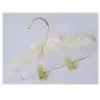 5 PCS/lot 25cm Childrens Cloth Hangers Gold Trousers Clips Baby Hanger Clothes Rack 5 PCS/lot 25cm Childrens Cloth Hangers Gold Trousers Clips Baby Hanger Clothes Rack