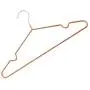 10pcs Random Color Children Adult Non-Slip Metal Shirt Trouser Hook Hangers Coat Hanger Clothes Accessories Rack