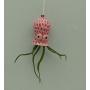 Baby Octopus Air Planter Hanger