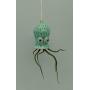 Baby Octopus Air Planter Hanger