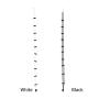 Socks Storage Hanger Portable Travel Elastic Clothesline Multi-Layer Non-Slip Washing Rope Balcony Clothes Drying Line Use for Outdoor and Indoor