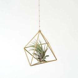 Hanging air plant holder, mobile Himmeli, gold plant hanger, air plant geometric planter, airplant display, home decor gift, octahedron 01