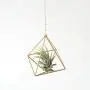 Hanging air plant holder, mobile Himmeli, gold plant hanger, air plant geometric planter, airplant display, home decor gift, octahedron 01 Hanging air plant holder, mobile Himmeli, gold plant hanger, air plant geometric planter, airplant display, home decor gift, octahedron 01