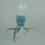 Small Hanging Octopus Air Plant Hanger