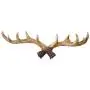 Enerhu Vintage Deer Antlers Wall Hooks Antique Clothes Hanger Rack Coat Hooks for Home Enerhu Vintage Deer Antlers Wall Hooks Antique Clothes Hanger Rack Coat Hooks for Home