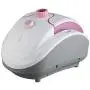 HWZXBCC Garment Steamer 1800W.Vertical Garment Steamer, Household Double Bar Steam Hanging Ironing Machine Ironing Clothes,2.2L Large Capacity Water.Clothes Steamer (Pink)