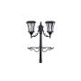 Sun-Ray 312007 Martens 2-Head Solar LED Lamp Post & Planter, with Plant Hanger, 7, Black, Batteries Included