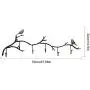 dissylove Decor Wall Mounted Coat Rack | Birds On Tree Branch Hanger with 6 Hooks | for Coats, Hats, Keys, Towels, Clothes Storage Hanger