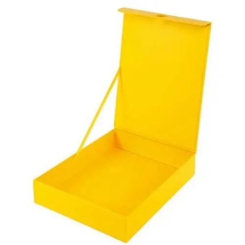 VPACK Files Storage Organizer Boxes, Flip Up Design Easy Clean Filing & Storage Office Boxes with Lip for Letters, Files, Documents, Papers (Yellow) VPACK Files Storage Organizer Boxes, Flip Up Design Easy Clean Filing & Storage Office Boxes with Lip for Letters, Files, Documents, Papers (Yellow)