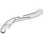SSWBasics Clothes Hangers - Light Weight Dress Hangers - 17" - Case of 100