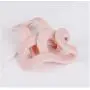20pcs Random Color Creative Mini Clothes Hanger Easy Hook Closet Organizer Storage Rack Holder Hook Antislip Clothes Hanger 20pcs Random Color Creative Mini Clothes Hanger Easy Hook Closet Organizer Storage Rack Holder Hook Antislip Clothes Hanger