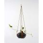 Plant Hugger Leather Plant Hanger with Brass Accents.