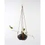 Plant Hugger Leather Plant Hanger with Brass Accents. Plant Hugger Leather Plant Hanger with Brass Accents.