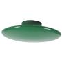 Wood Dots Coat Hooks Flat Round Shape Bright Color Wall Mounted Wall Hanger, Scatter The Wall to Display Hats, Scarves,Clothes(10 Colors) - Green L