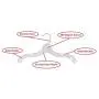 NAHANCO 414 Plastic Dress Hangers, Super Heavy Weight, 14", Clear (Pack of 100) NAHANCO 414 Plastic Dress Hangers, Super Heavy Weight, 14", Clear (Pack of 100)