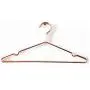 10pcs Multipurpose Dry Cleaning Brass Elegant Rose Gold Clothes Hanger Wire Copper Coat Hanger Antiskid Organizer