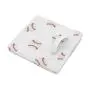 Sweet Jojo Designs Red and White Sports Boy Baby Nursery or Kids Room Small Fabric Toy Bin Storage Boxes Chest for Baseball Patch Collection Sweet Jojo Designs Red and White Sports Boy Baby Nursery or Kids Room Small Fabric Toy Bin Storage Boxes Chest for Baseball Patch Collection
